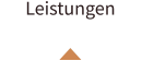 Leistungen
